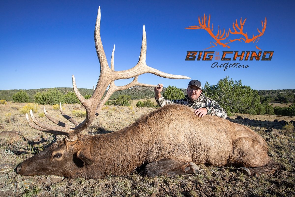 Arizona Elk Hunting Packages